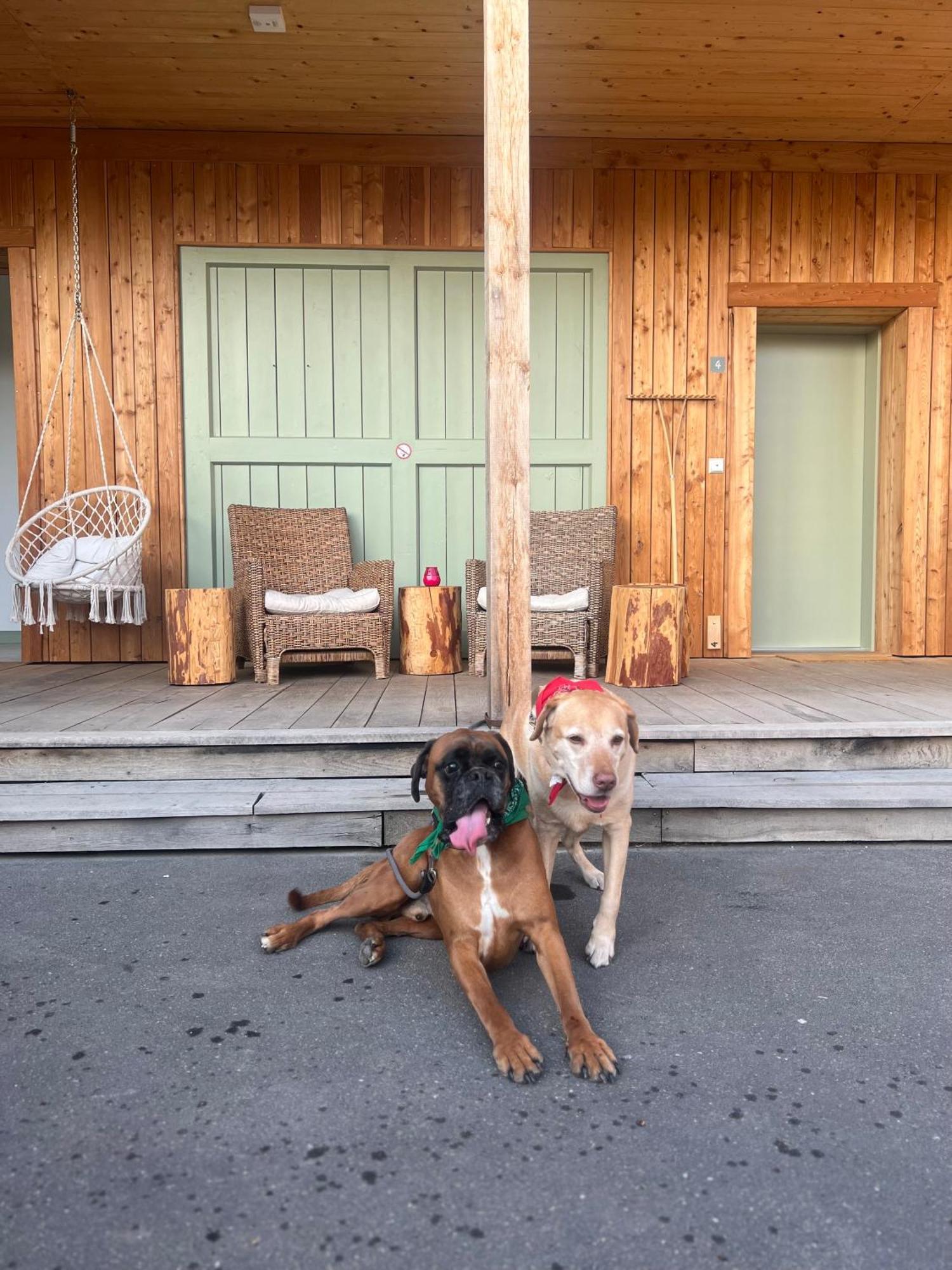 Bike Lodge Spessart Lohr am Main ภายนอก รูปภาพ